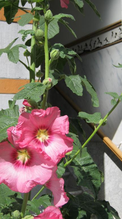 B&B Matin Tranquille リエージュ エクステリア 写真