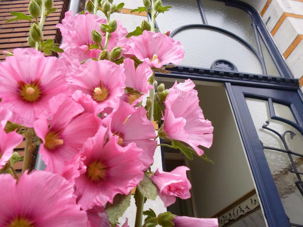 B&B Matin Tranquille リエージュ エクステリア 写真